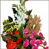 Friendly Touch - Click here to View more details about this Product